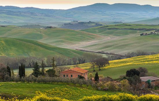 Person standing on a hill looking at the horizon